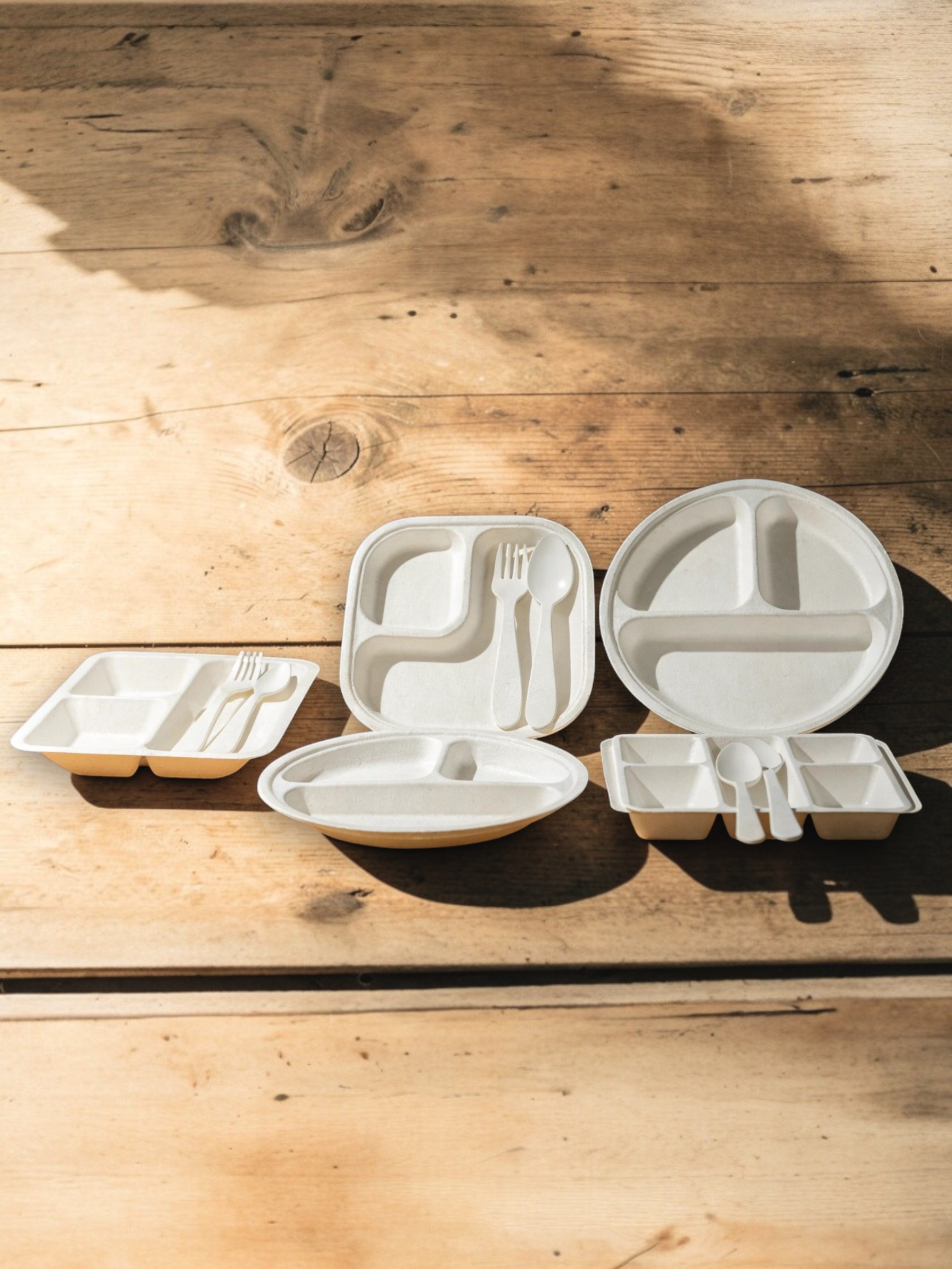 Compartment-plates & Trays